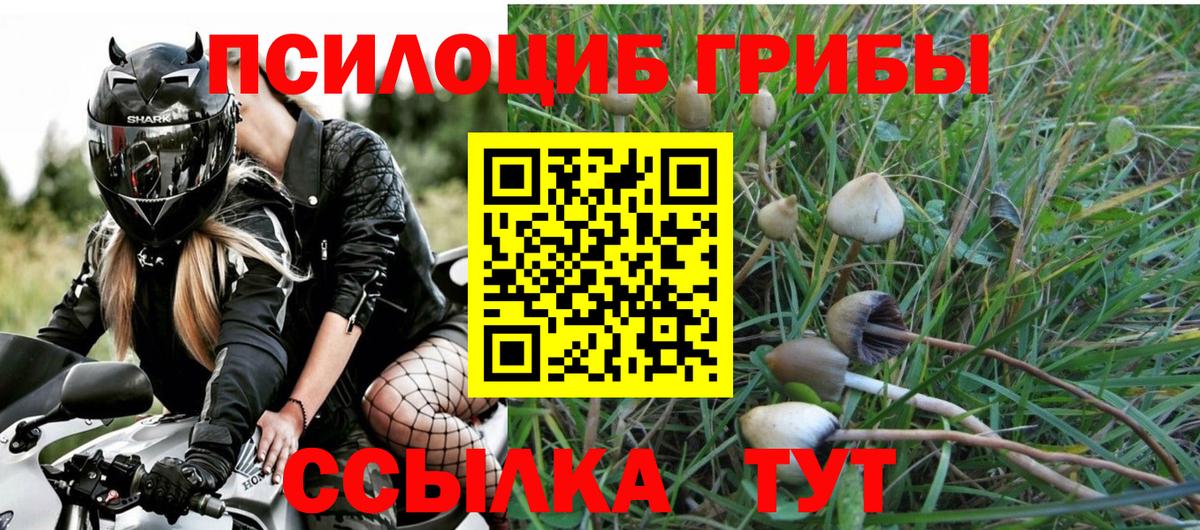 Псилоцибиновые грибы мухоморы  Вход с VPN  Химки  где найти   Галлюциногенные грибы Psilocybine cubensis 
